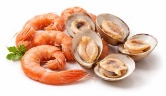 Crostacei e molluschi
